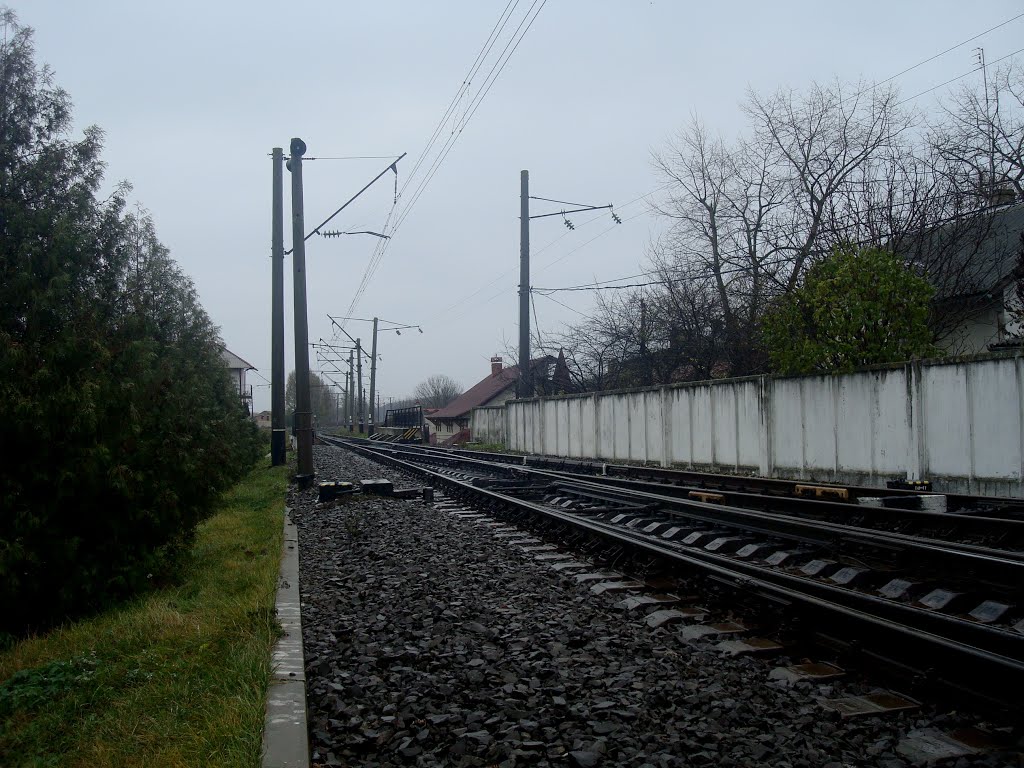 Станция Подволочиск. Вид в сторону Максимовки-Тернопольской, Подволочиск