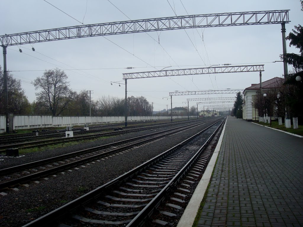 Станция Подволочиск. Первая платформа.Вид в сторону Максимовки-Тернопольской, Подволочиск