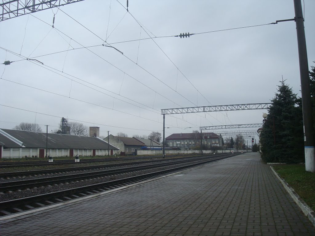 Станция Подволочиск. Первая платформа. Вид в сторону Максимовки-Тернопольской, Подволочиск