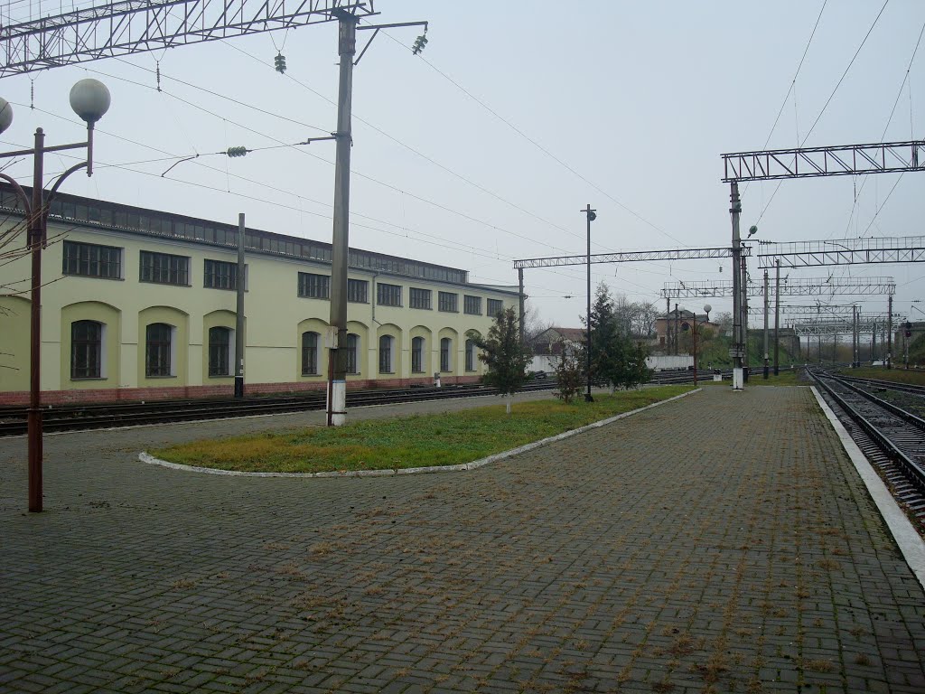 Станция Подволочиск. Вид в сторону Максимовки-Тернопольской, Подволочиск