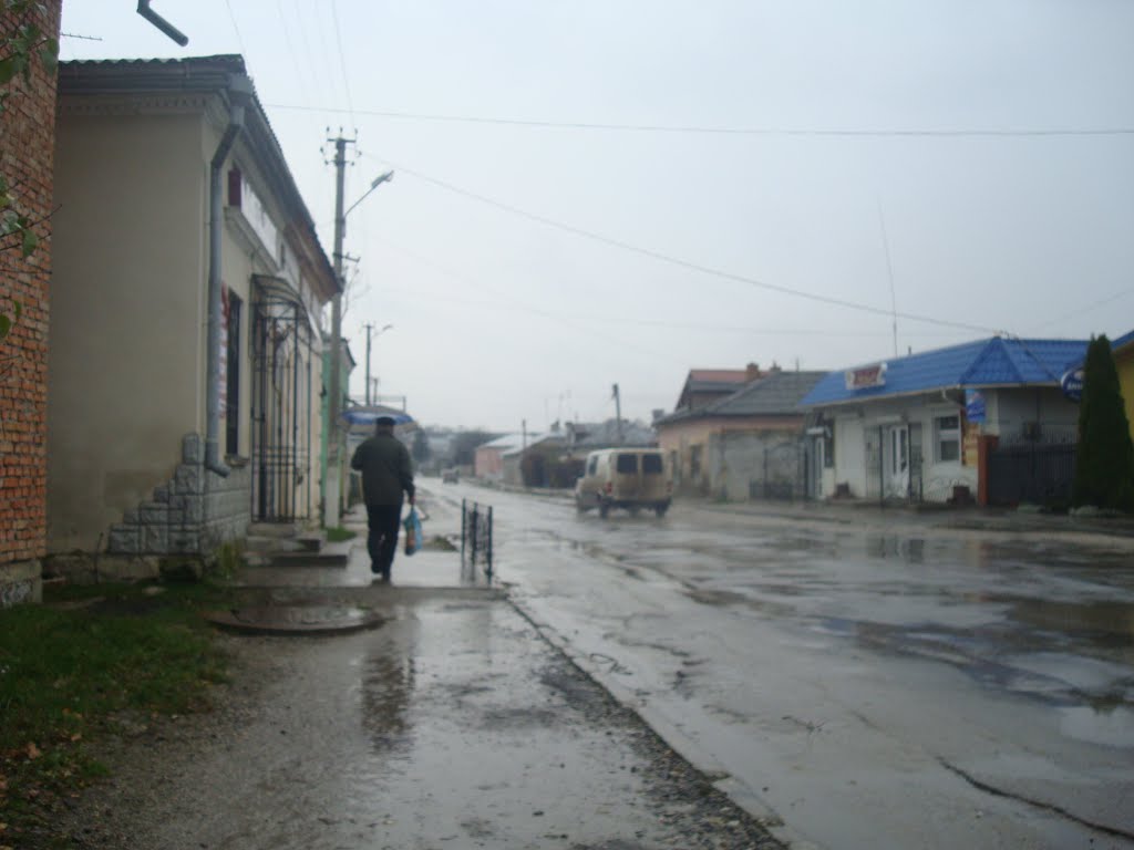 Улица в Подволочиске, Подволочиск