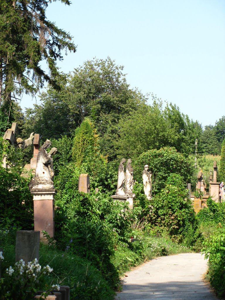 Старое кладбище. Old cemetery., Теребовля