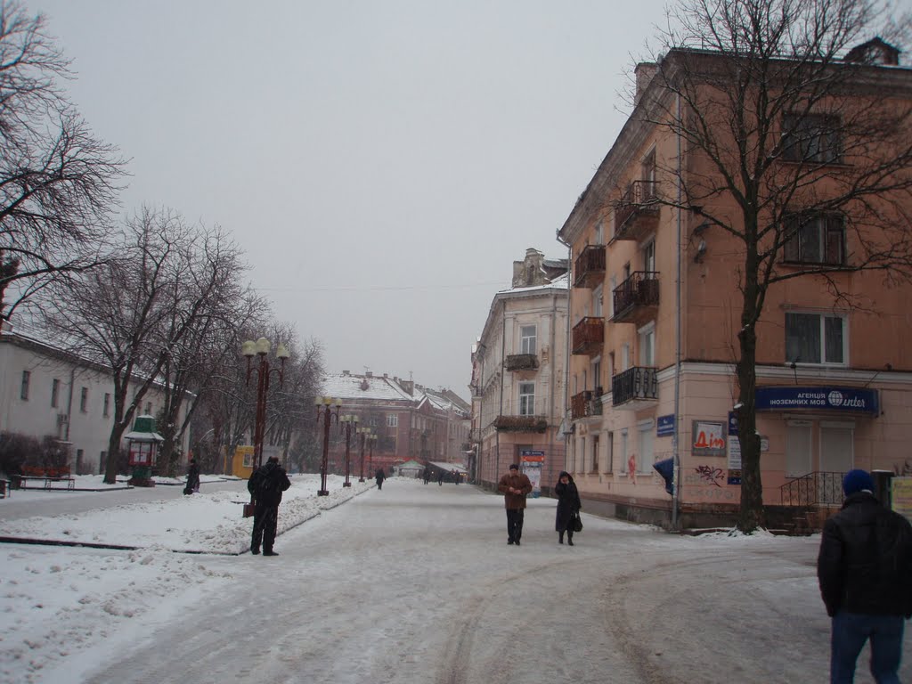 улица Гетьмана Сагайдачного, Тернополь