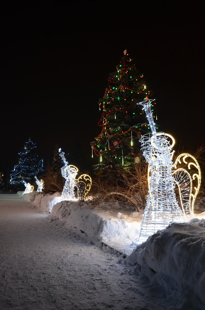 Різдвяна казка, Тернополь