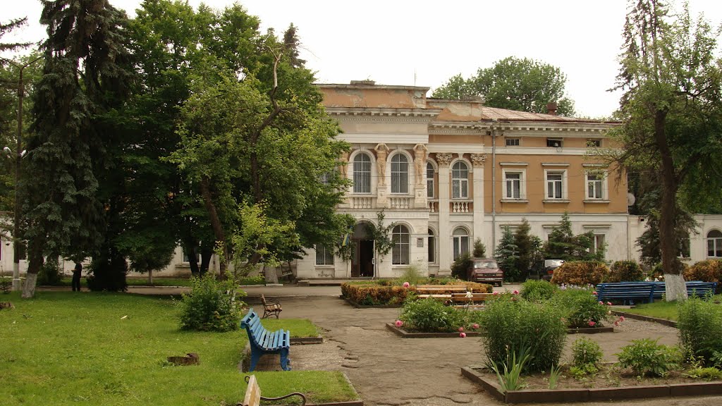 Палац Реїв - Потоцьких, Шумское