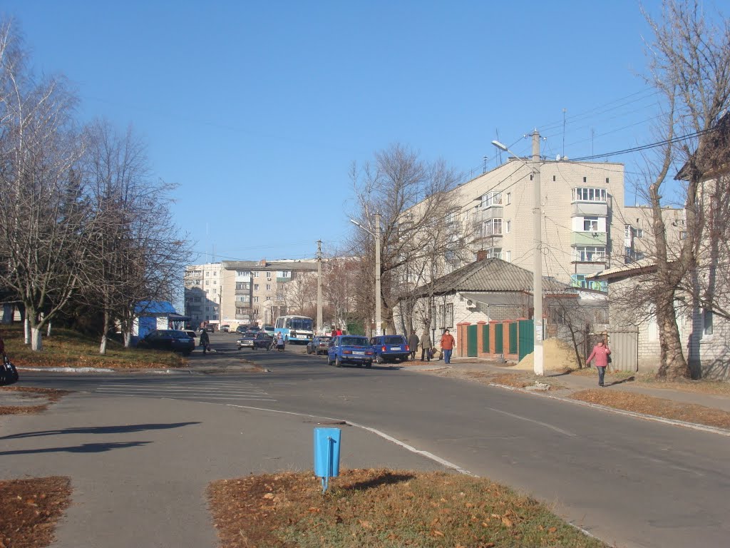 ул. Серпуховского (2010.11.15), Балаклея