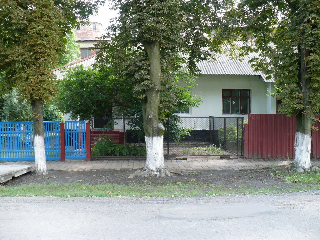 Будиночок на Червонозаводській, Барвенково