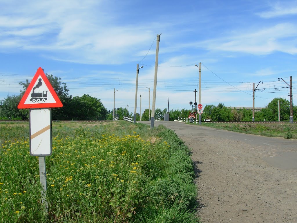 Переезд вблизи ст.Борки. Railway crossing near Birky st., Борки