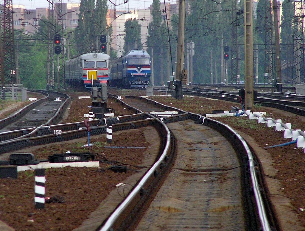 Train racing. May 2005, Боровая