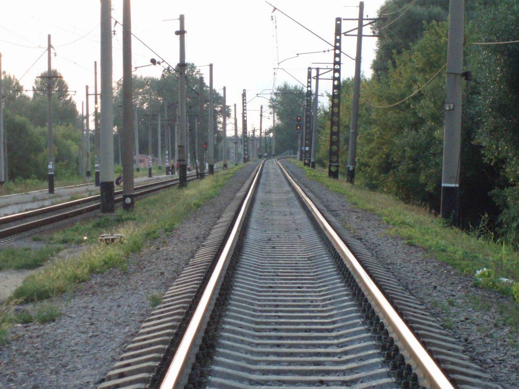 the rails on Novozhanovo, Боровая