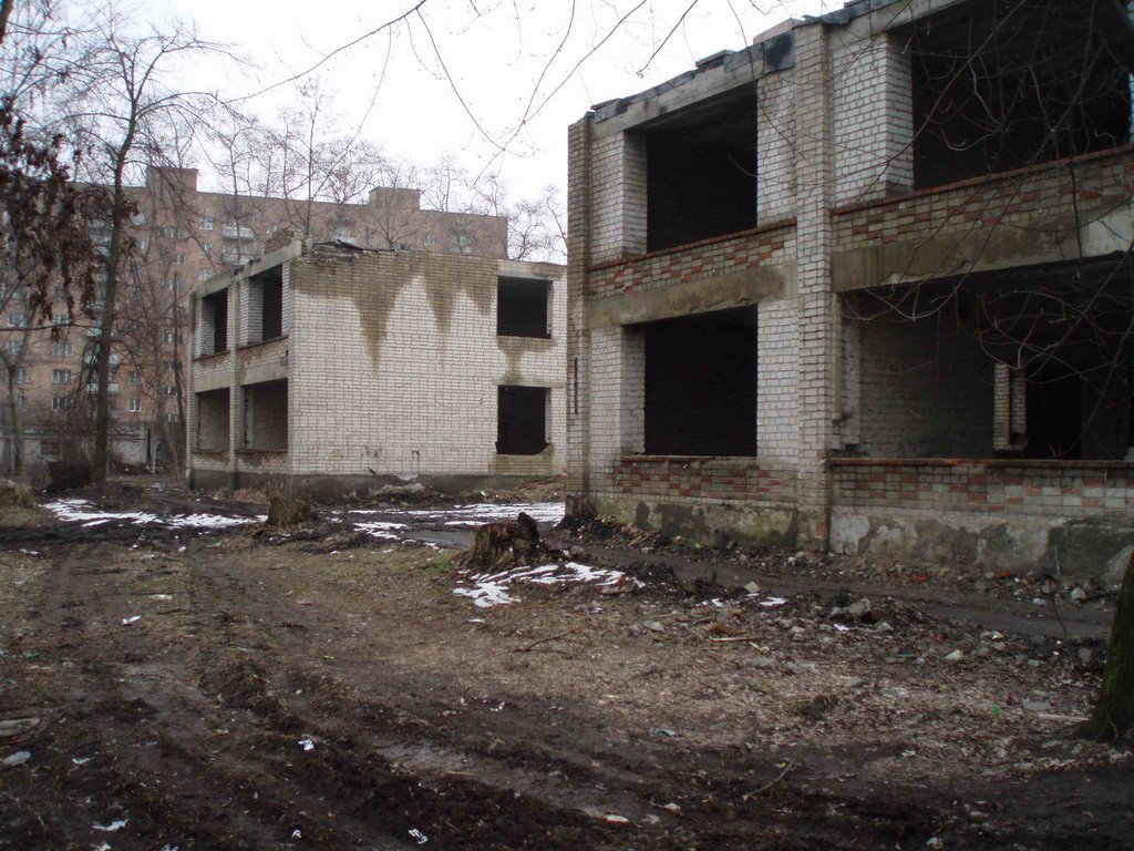 the view of dilapidated childrens hospital 1, Боровая