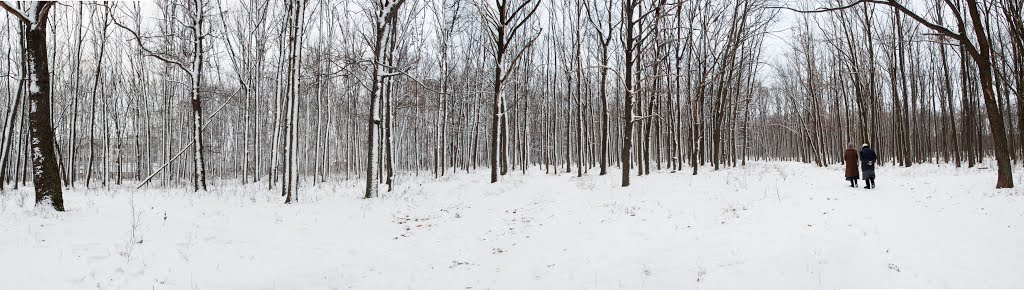 Зима в лесу, Буды