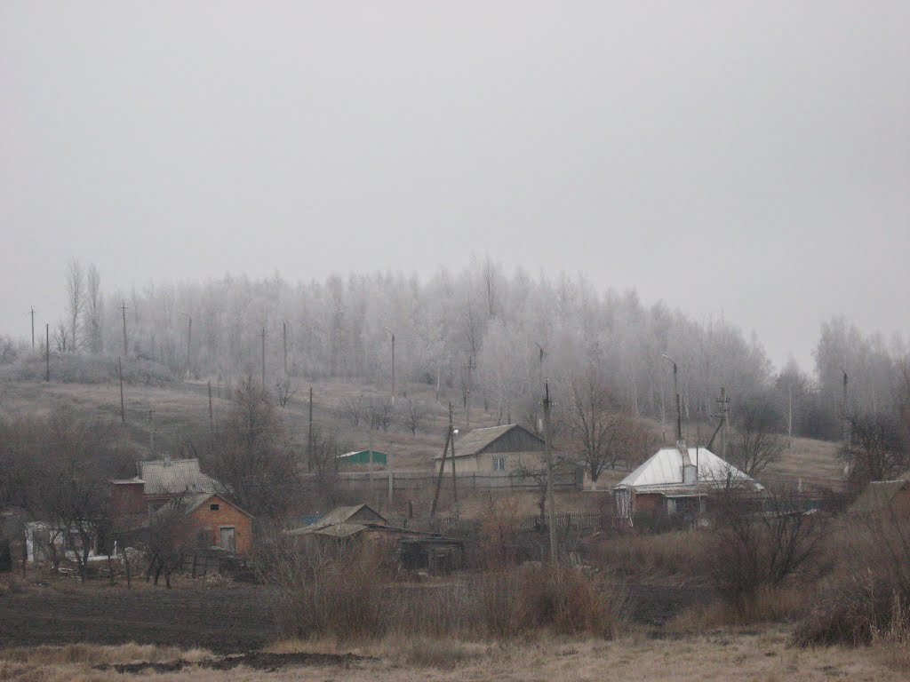 Великий бурлук фото Великий бурлук фото