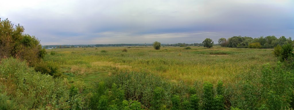 г.Змиев на окраине города (панорама), Зидьки