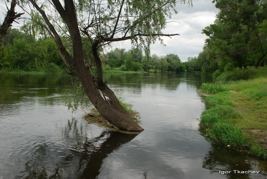 Река С.Донец, Изюм