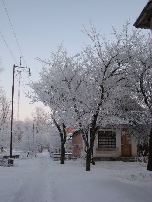 Kegychivka winter, Кегичевка