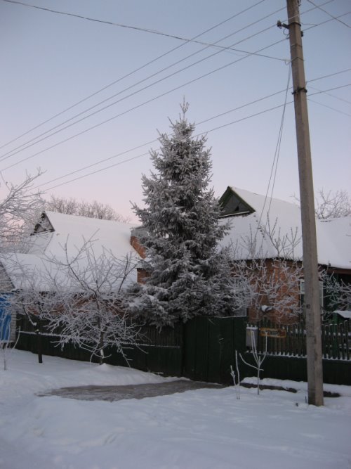Kegychivka winter2, Кегичевка