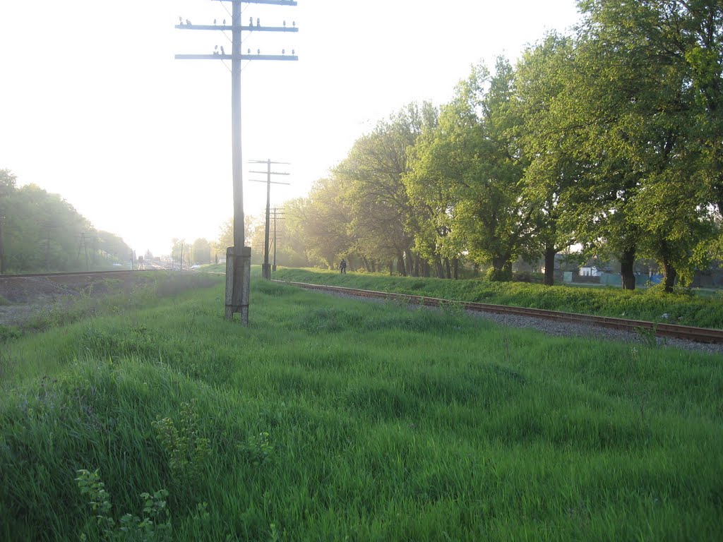 Вид от АЗС в сторону Центра., Кегичевка