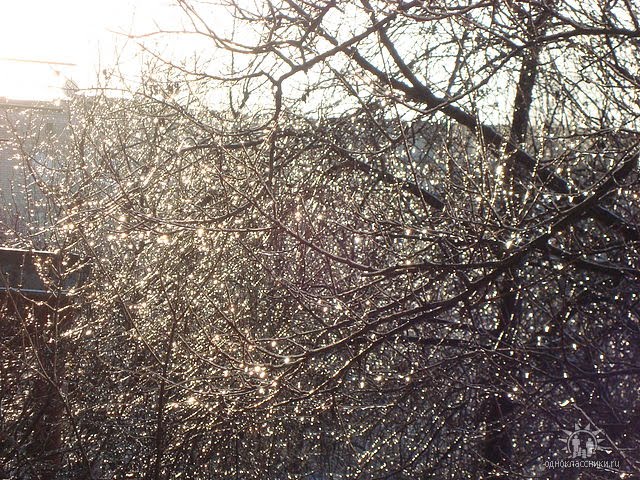 Хрустальная зима, Красноград