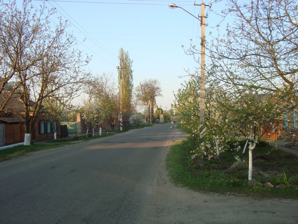 Улица Короленко, Красноград