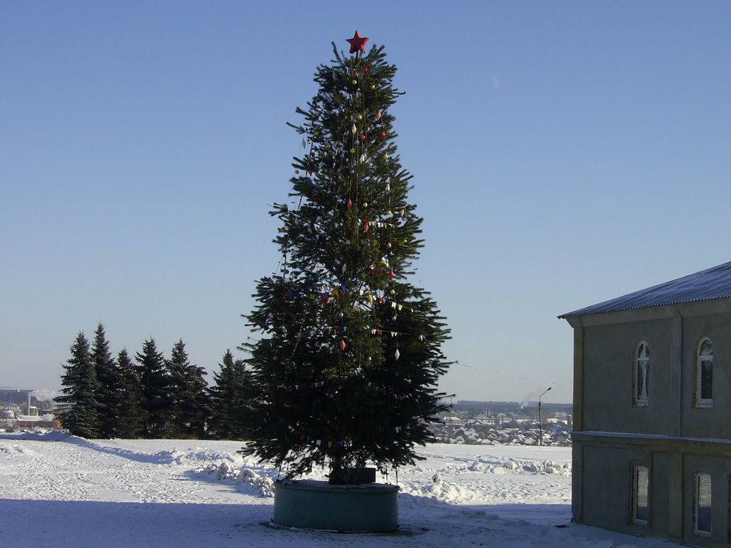 Новогодняя елка возле Купянского горисполкома, Купянск