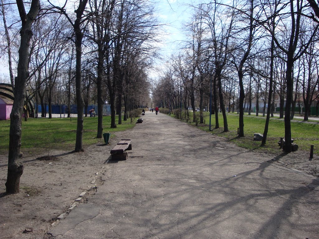 Городской парк, Купянск