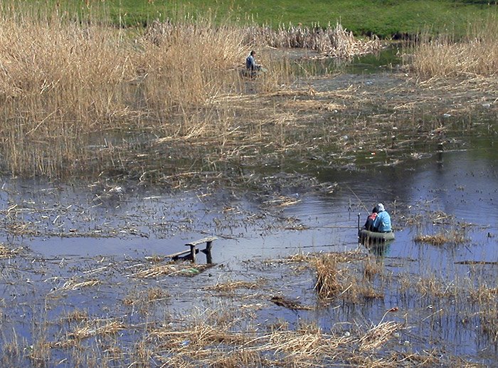 Fishers at lake in city-park of Lozovaya (Lozova), Ukraine, Лозовая