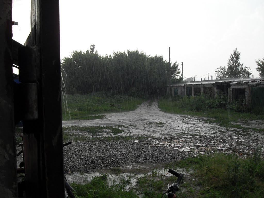 Летний дождь в ГСК-18., Лозовая