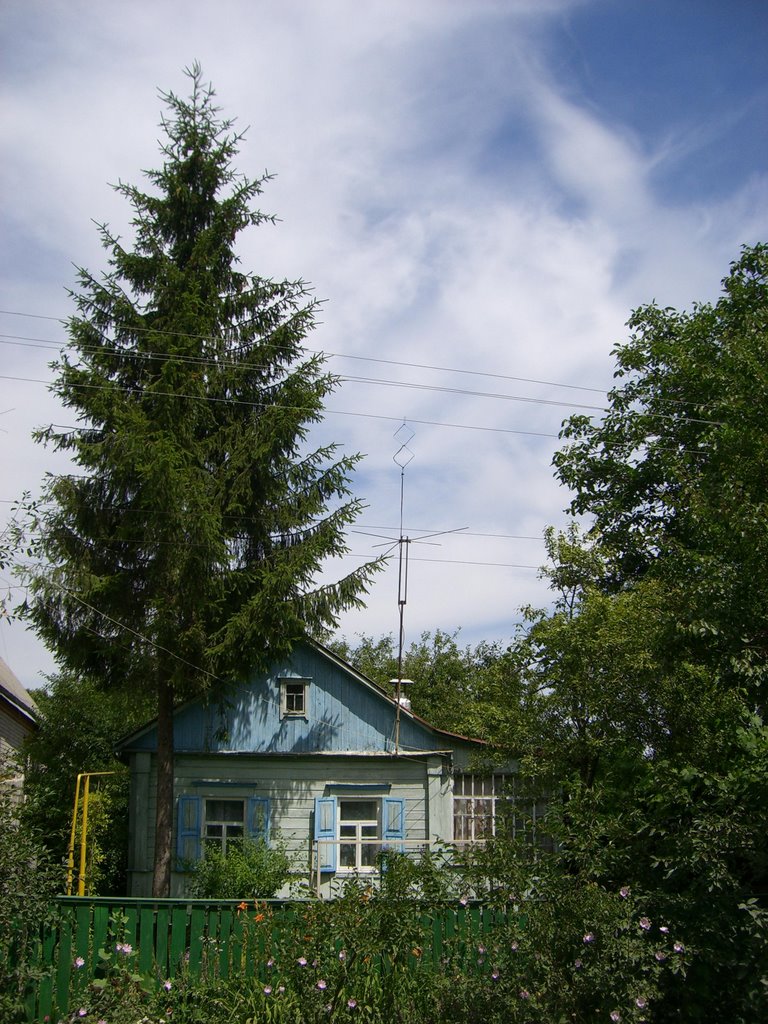 Домик в деревне, Люботин
