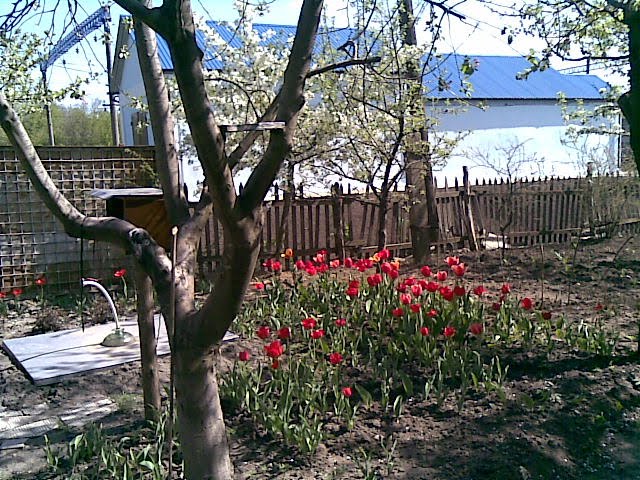Цветущий Сад возле вокзала Новой Водолаги, Новая Водолага