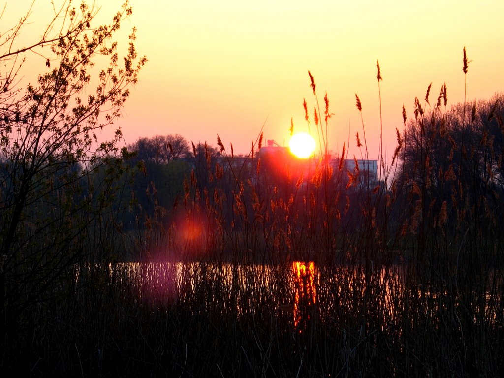 Рассвет на Комсомольском озере, Сахновщина