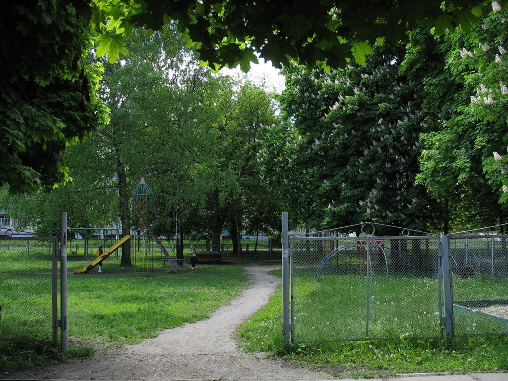 Детская площадка, Сахновщина