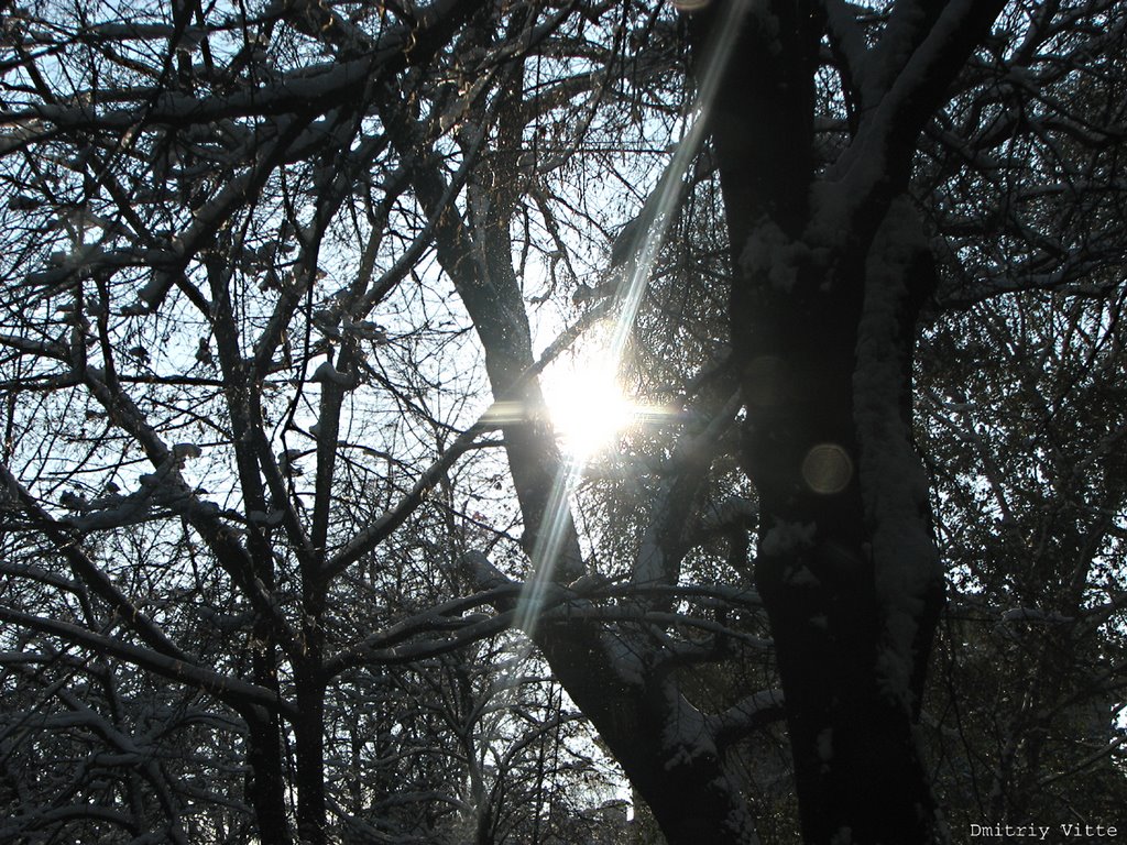 зимнее солнце / winter sun, Харьков