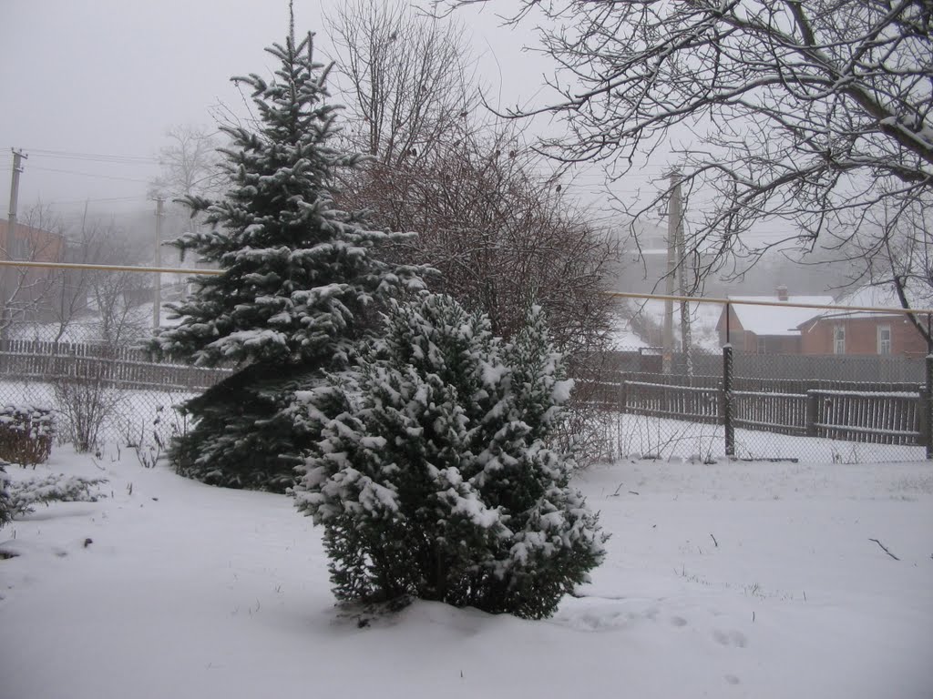 Снежная зима 2009-2010, Мерефа