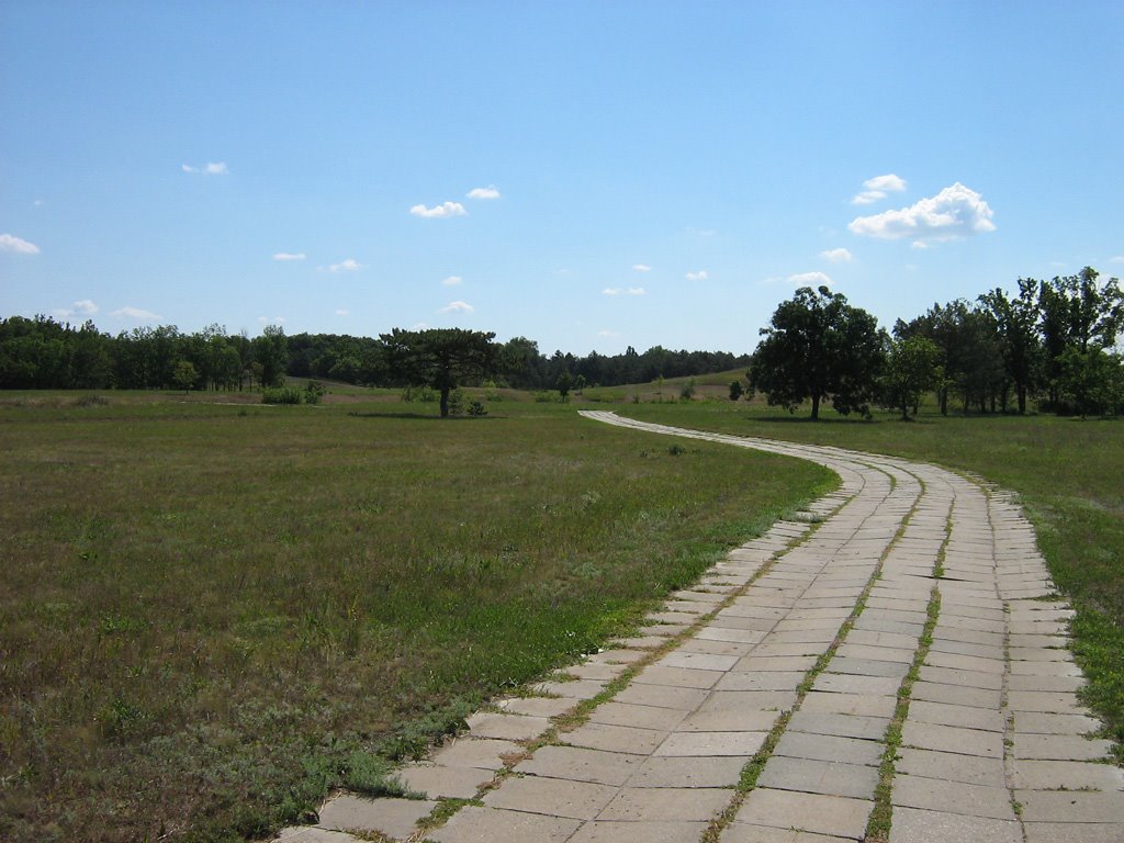 Дорожка в самой середине парка (07.2008), Аскания-Нова