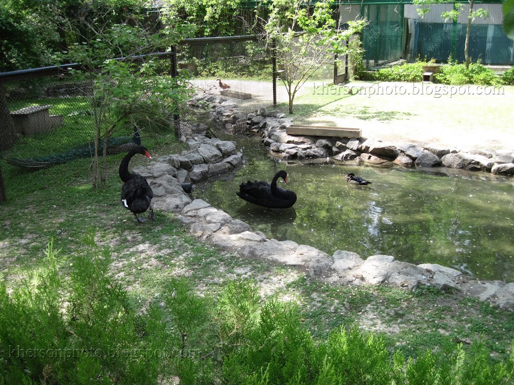 Аскания Нова (Ascania Nova) зоопарк, май 2012 г., Аскания-Нова