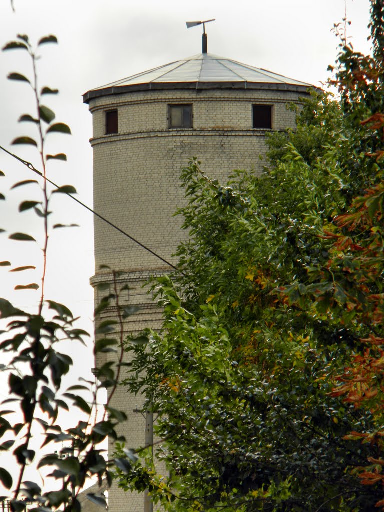 Башня возле станции, Белая Криница