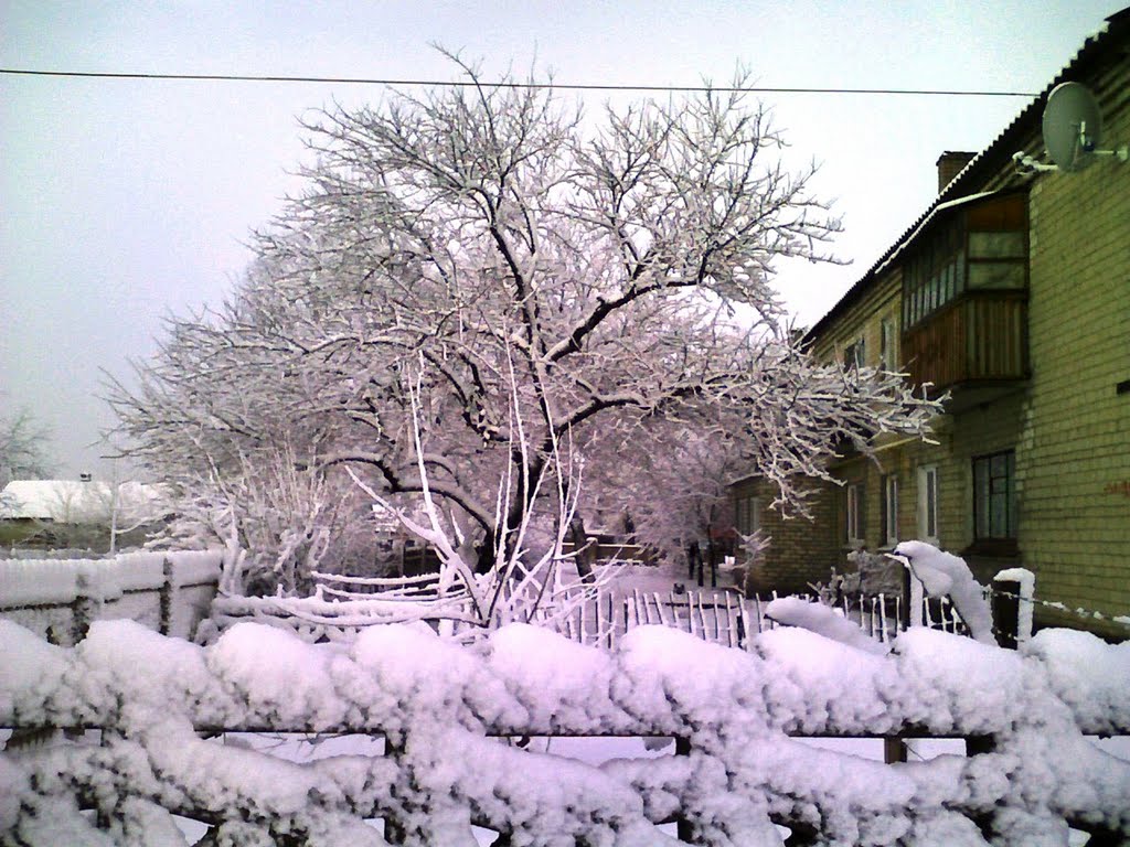 Херсонская 159 (зима), Берислав