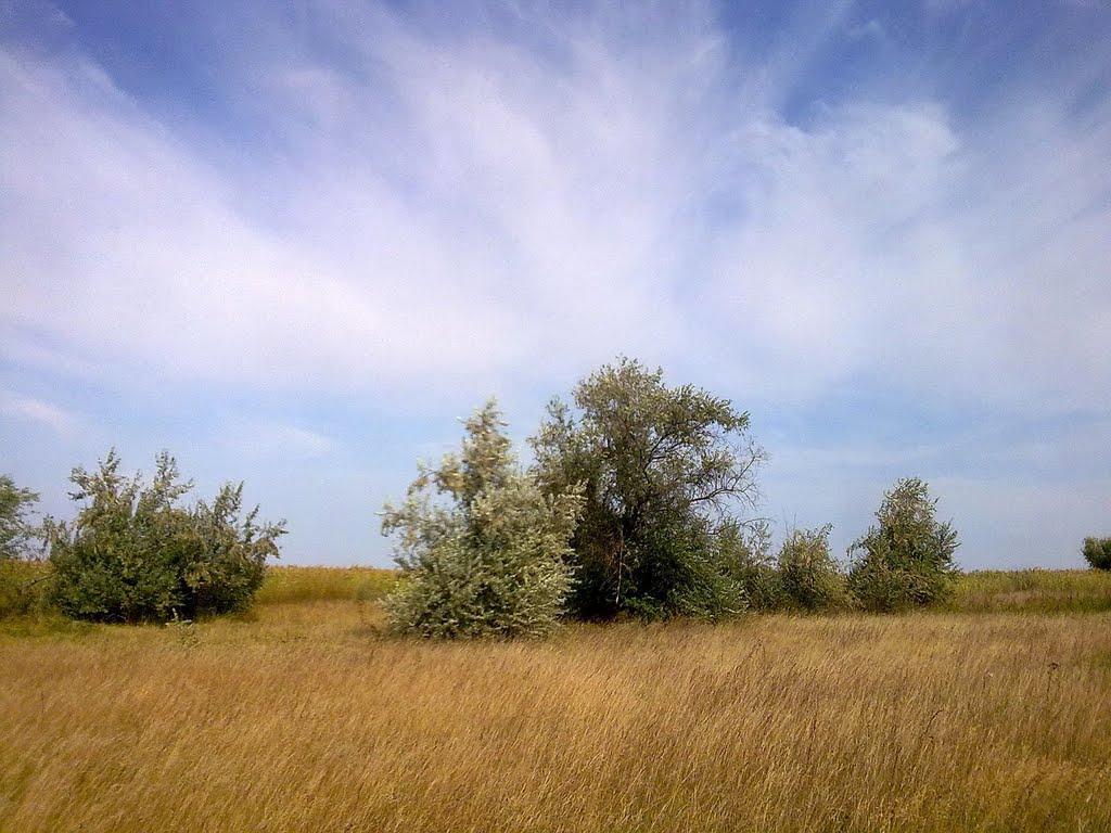 meadows, Великая Александровка