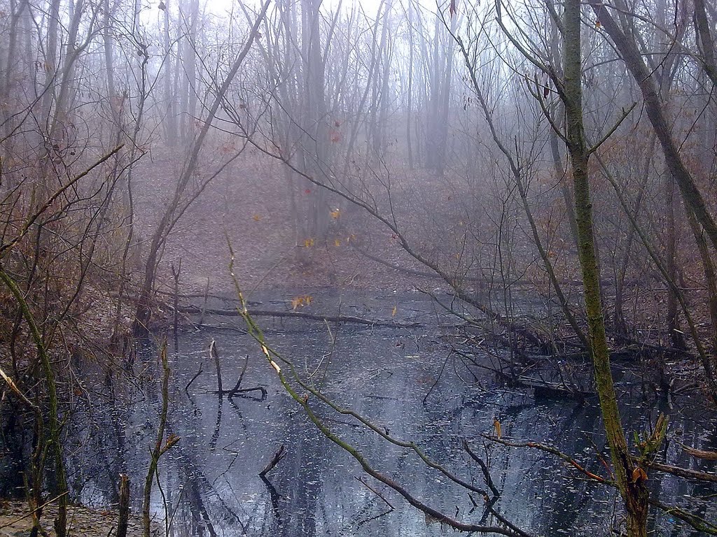 Foggy morning, Великая Александровка