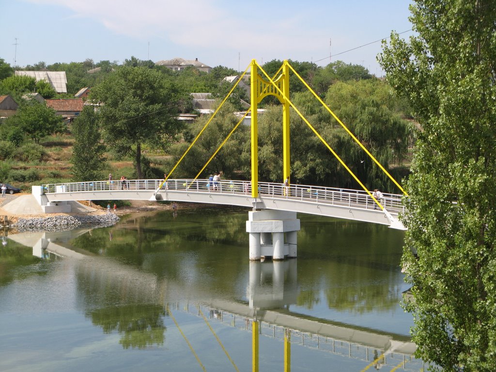Пешеходный мост. Bridge 2007., Великая Лепетиха
