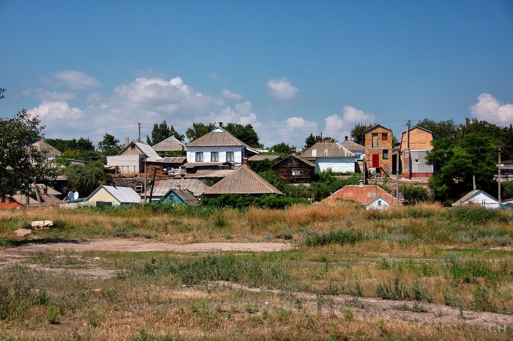 Геническ. Вид, Геническ