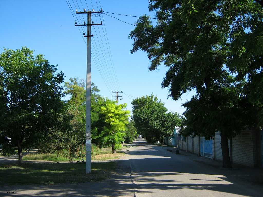 Улица Суворова, Геническ
