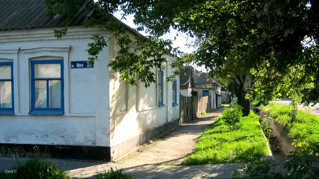 проспект Мира, 20, Геническ