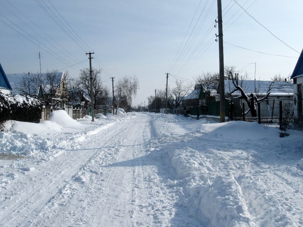 Улица Шевченко зимой, Днепряны