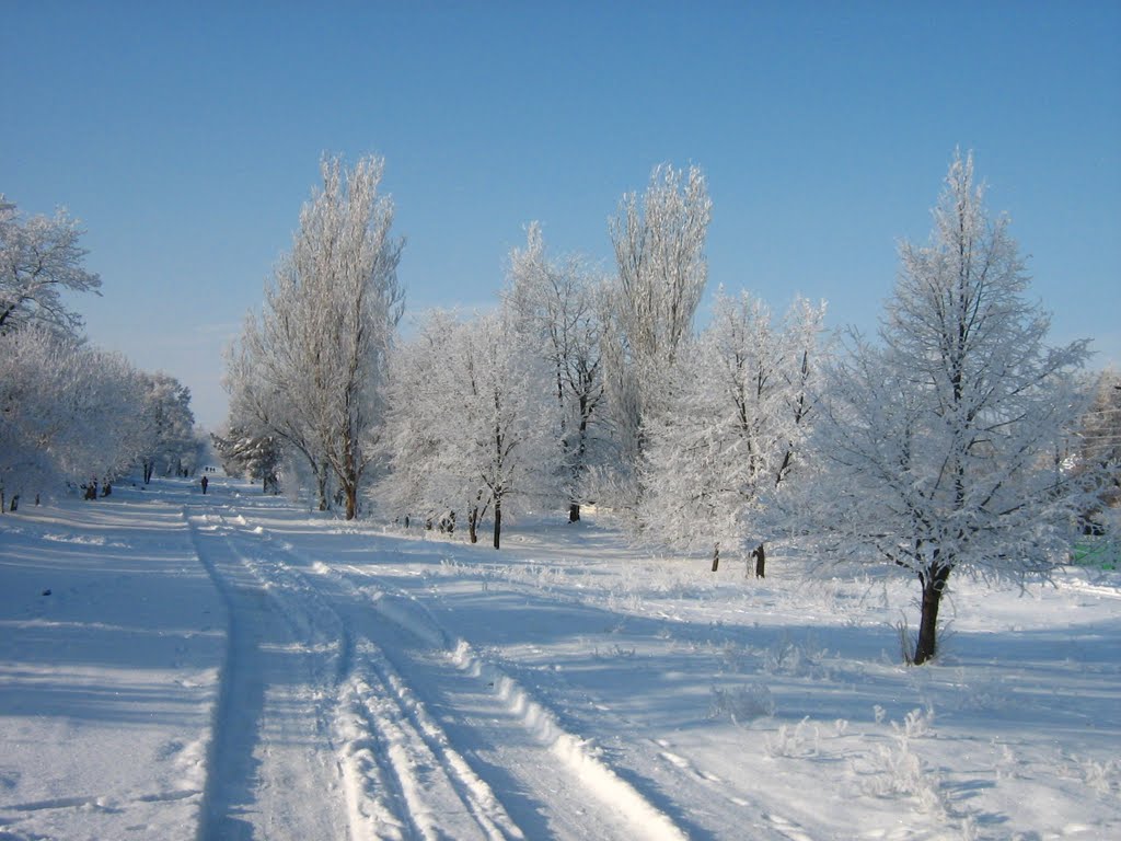 Зима на Советской улице (январь 2011), Калининское