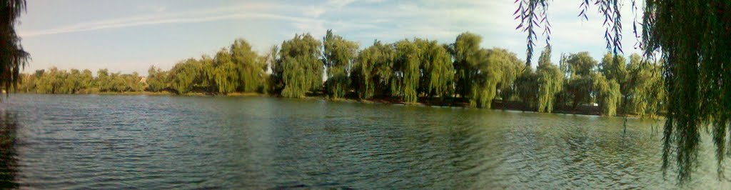 Старая панорама речки, Нижние Серогозы