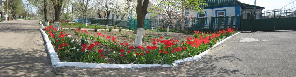 Улица Ленина, Апрель., Нижние Серогозы
