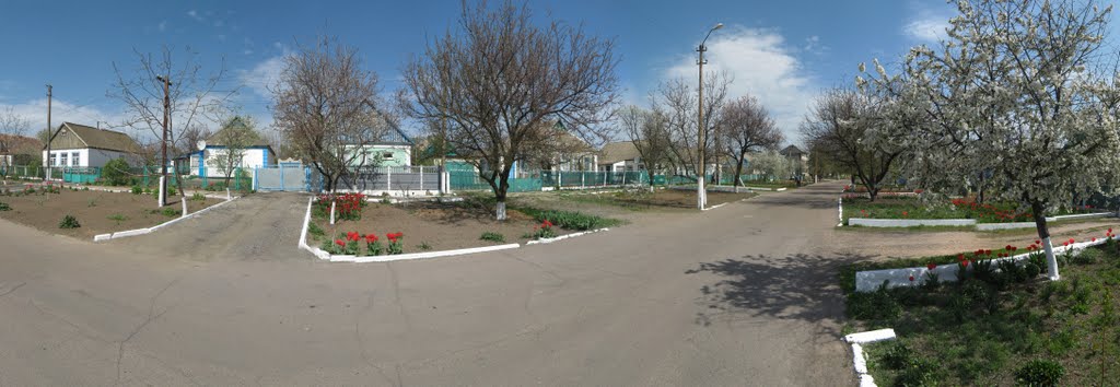Улица Ленина. Апрель. Панорама., Нижние Серогозы