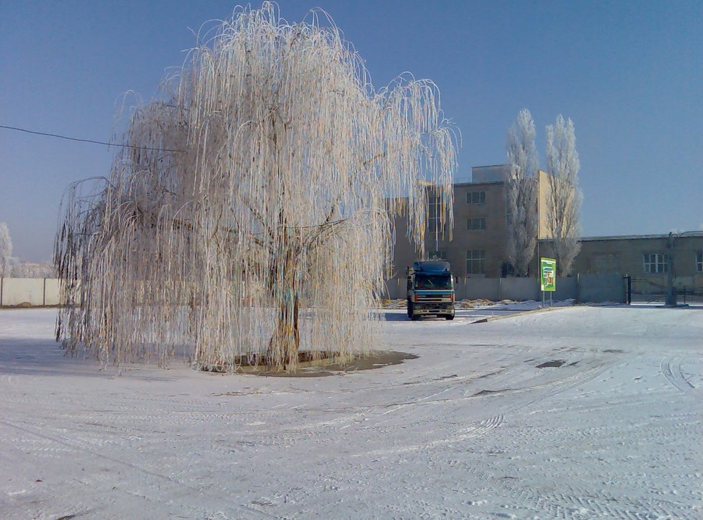 Winter in Kakhovka, Новая Каховка